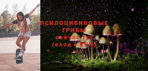 метадон Дмитриев
