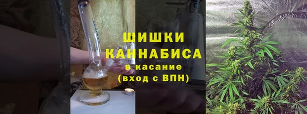 молекула духа Дмитров